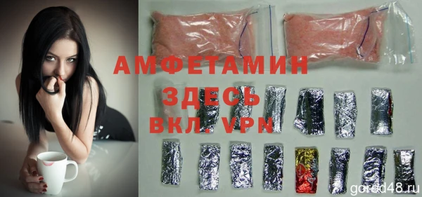 хмурый Алексин