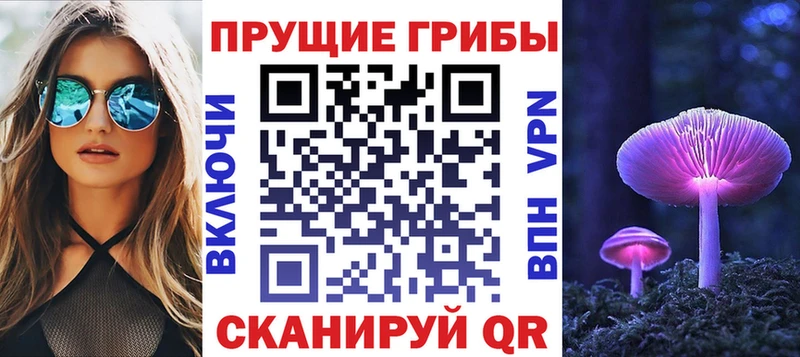Псилоцибиновые грибы Cubensis  Дербент 